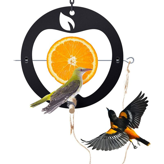 Creative Oriole Bird Feeder for Outdoor Oranges, Bird Food Holder with Apple Shape for Bird Feeding, Hanging Chain & Perch Included, Perfect for