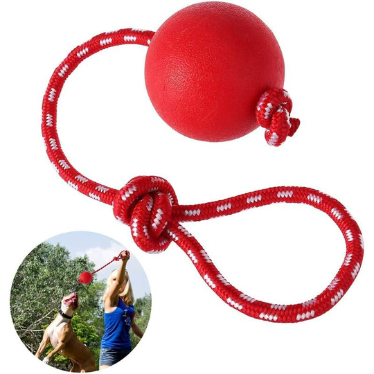 Betterlifegb - Dog Throwing Ball, 1 pc Elastic Dog Ball with Rope | Natural Rubber Ball Rope | Puppy Toy Dog | Dog Toys | Dog toy diameter 7 cm