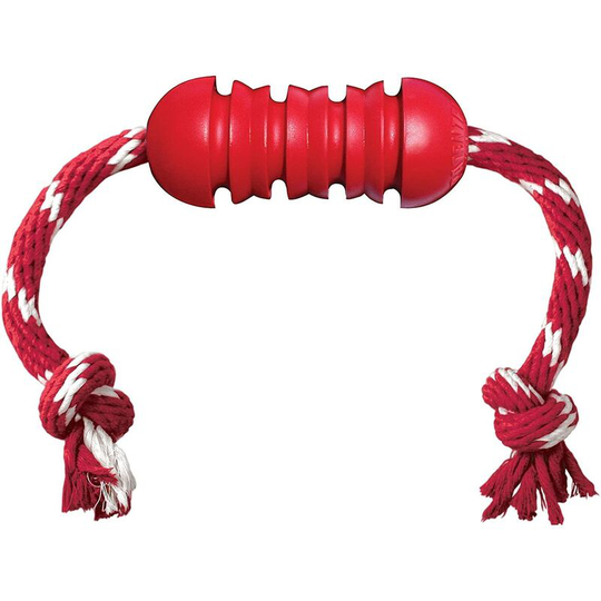 Rope Dog Dental Toy (Small) (Red) - Red - Kong