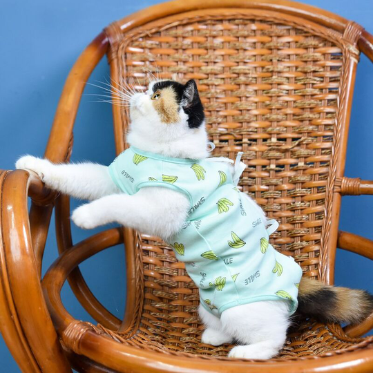 Pet Rehabilitation Clothing (m) Post-Operative Clothes Cat Surgery After Recovery Suit Anti-licking Puppy Small Dog Cat Accessories