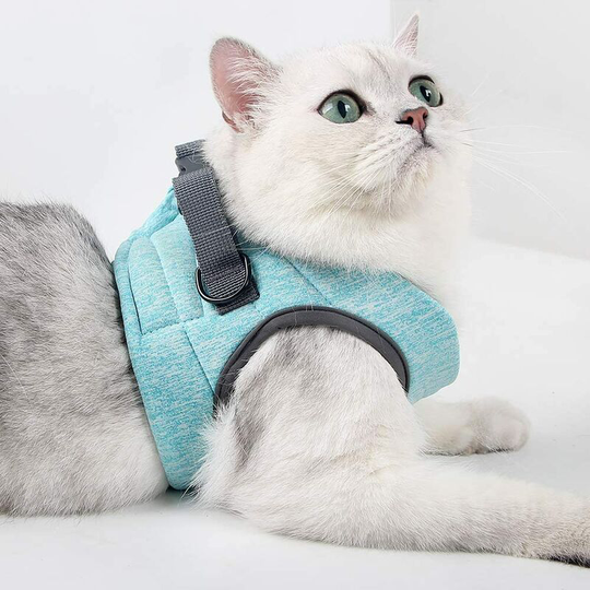 Cat Harness and Leash Ultra-light Kitten Collar Soft and Comfortable Cat Walking Jacket Running, Leak-Proof Suitable for Puppy Rabbits (green,M)