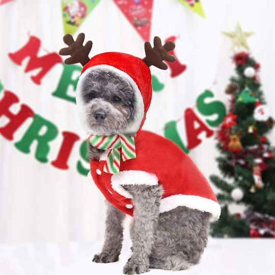 Christmas, fun winter warm sweater hoodie, suitable for dogs and cats, pet clothing, party role playing dress (m)