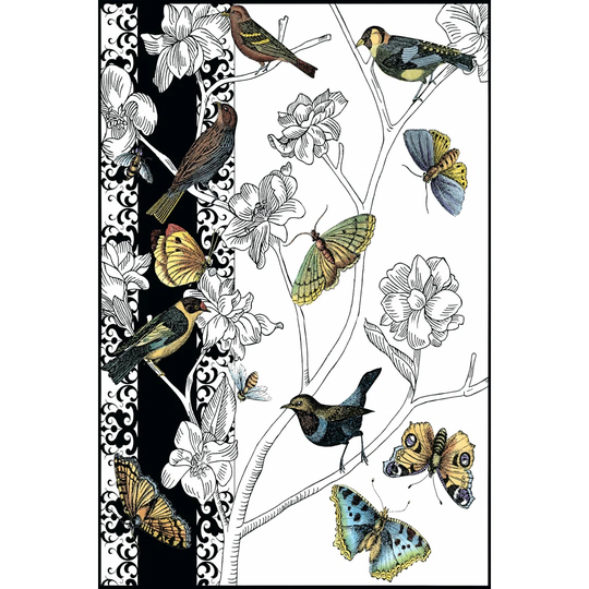 Small Aviary I (P) by Chariklia Zarris - Wrapped Canvas Painting