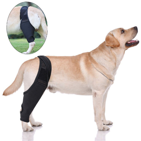 Recovery Sleeve Dog, Large, Black Rehabilitation Support Fixed Leg Strap