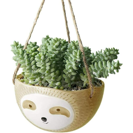 Plants Bonsai Flower Flower, Cute Animal Plants Success Pots (Hanging Basket Round Flower Pot, Yellow)