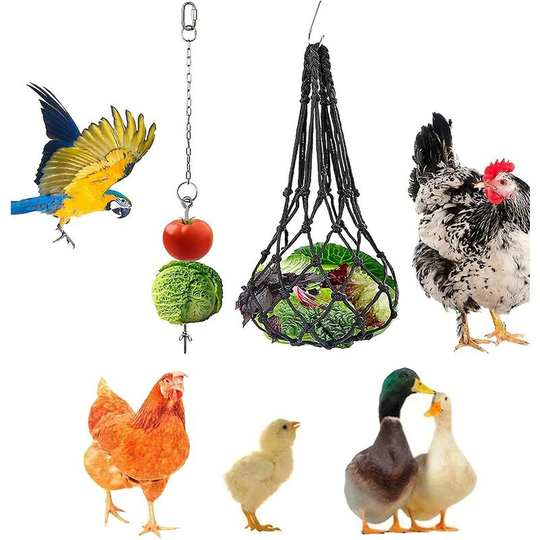 Chicken Veggies Skewer Fruit Bag Set Stainless Steel Hanging Feeder Coop Toy(2 Pcs)-Thsinde