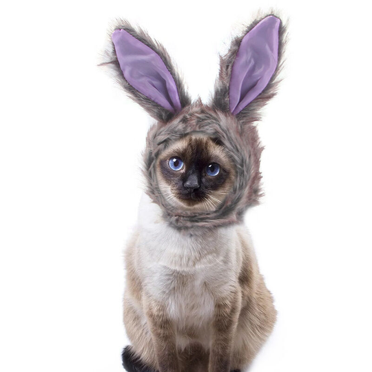 Pet supplies Grey rabbit Pet hat Teddy's funny headdress Cat hat Cat headcover 33 * 13cm