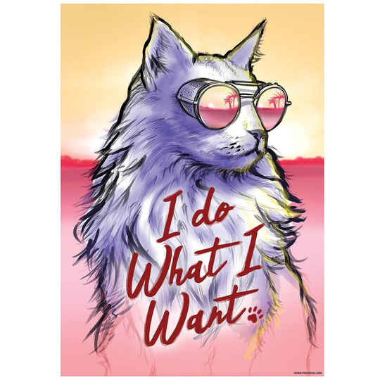 Grindstore Sunset Kitten Plaque (One Size) (Yellow/Light Red/Purple) - Yellow/Light Red/Purple