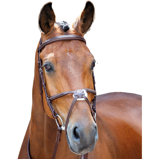 Brackley Leather Stitch Horse Bridle (Pony) (Australian Nut) - Australian Nut - Salisbury