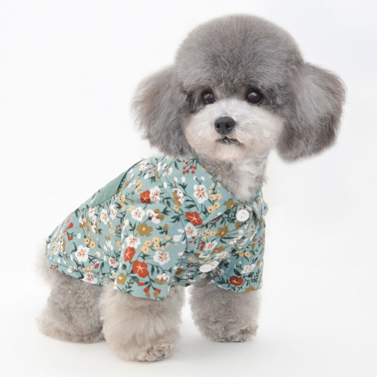 Spring and summer new pet carrier pants pumpkin pants dog clothes small dog clothes cat clothes Teddy clothes Wizard of Oz - shirt (m) back length 25