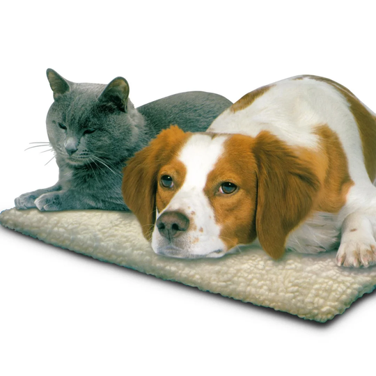 Dog Cot with Self Heating in Blue
