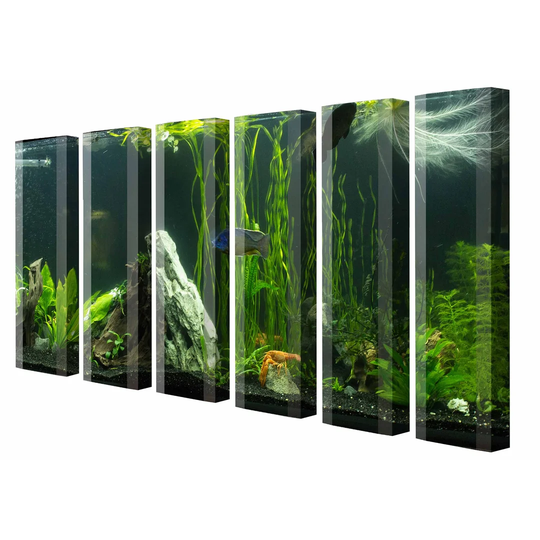 Aquarium 40 Pair Shoe Storage Cabinet