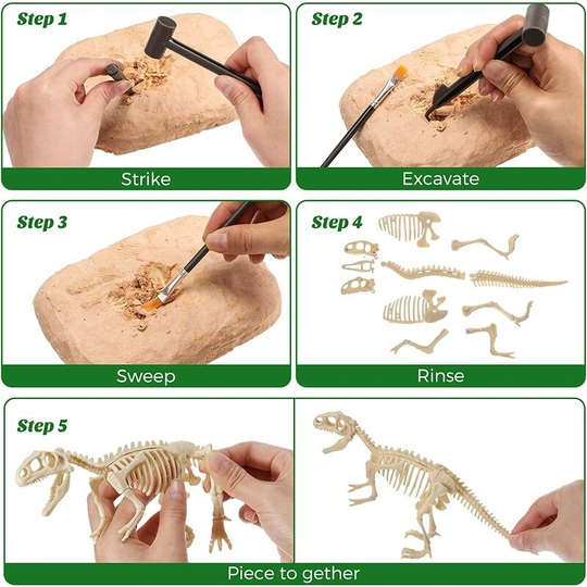 2 Set Dinosaur Excavation Kits, Tyrannosaurus and Triceratops Skeleton Puzzle Dig for Bones with Included Tools