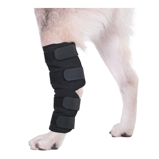 Canine dog hind hock brace protects wounds while they heal, compression wrap, heals and prevents injuries and sprains helps loss of stability caused