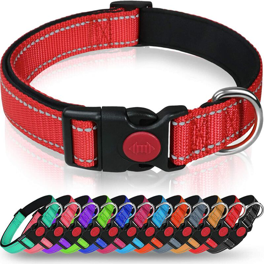 Dog Collar, Classic Adjustable Reflective Nylon Collar with Soft Breathable Mesh Padding for Small Dogs,L,Red