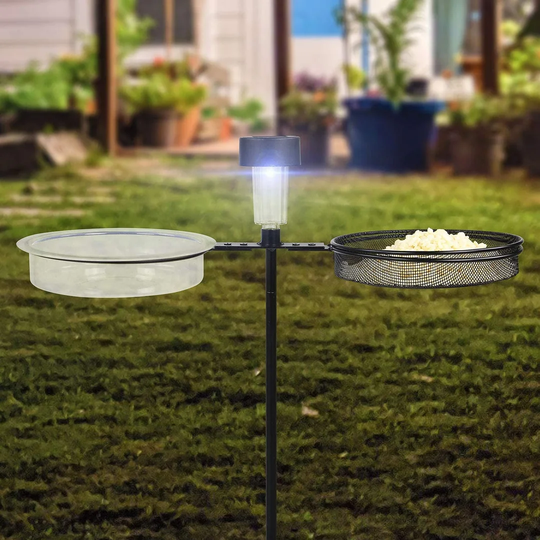 Lafever Tray Bird Feeder
