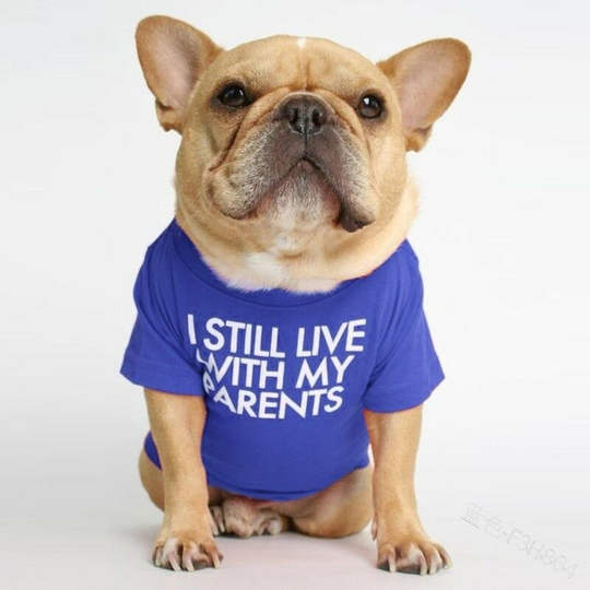 Dog T-Shirt with Phrase: i Still Live With My Parents (Blue, xl)