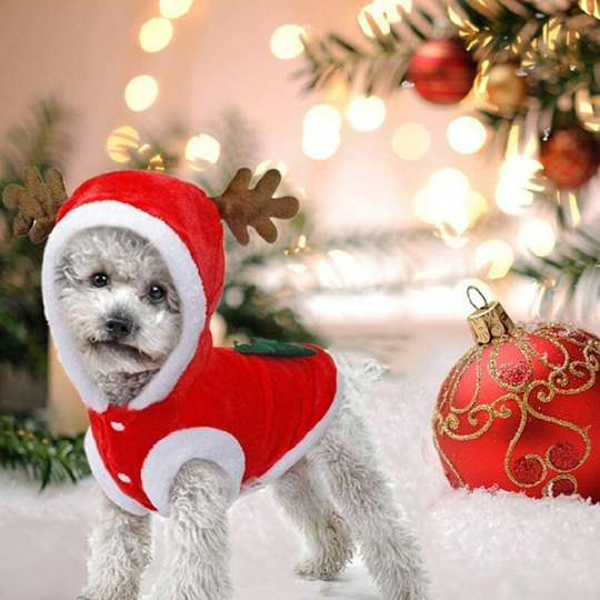 Christmas Clothes for Dog, Santa Claus Costume Cute Reindeer Dog Costume Cat Costume Warm Winter Coat for Pet(L)