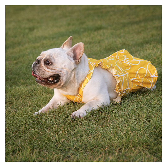 Benobby Kids - 1 set of leaf yellow pet clothes dress cotton cartoon print spring and summer Teddy Pomeroy Fighting Chenery Princess dress Medium m)