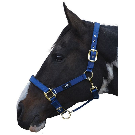 Hy Grand Prix Head Collar (Full) (Navy) - Navy