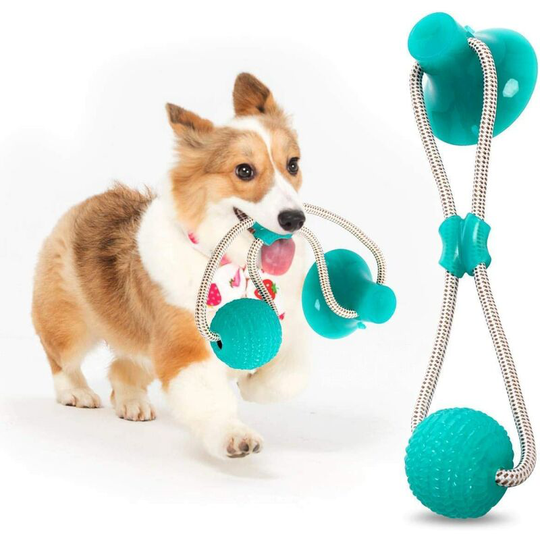 Multifunction Pet Molar Bite Toy, Multifunctional Pet Bite Toy, Toy Pet Dog Toy Interactive Pet Chew Toys (Green)