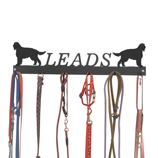 Ambre Wall Mounted Coat Rack