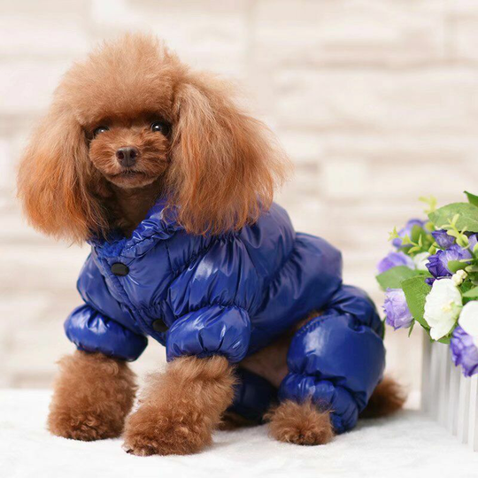 Plush Animal Clothing Autumn and Winter Dog Clothes Hot Winter Dog Clothes (Blue-S-