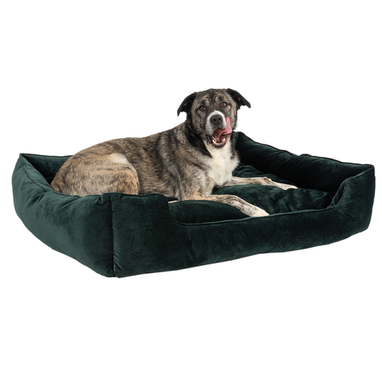 Modern Living Fern Dog Bed - 108 x 95 x 24cm (L x W x H)