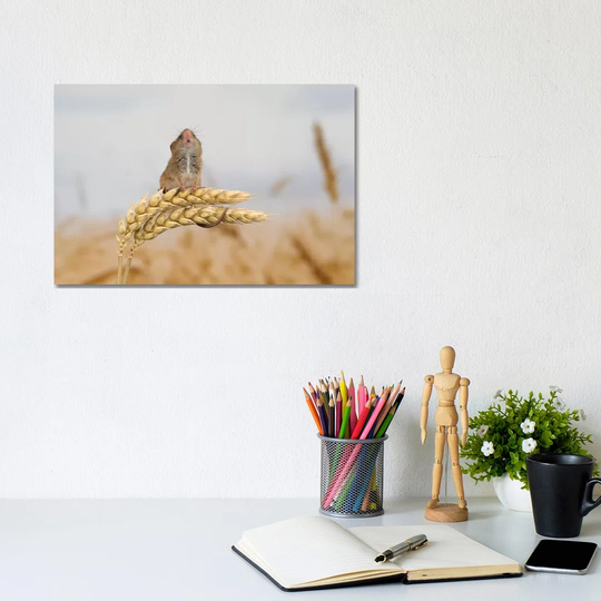 Shall I Go Higher Harvest Mouse by Dean Mason - Photograph Print on Canvas