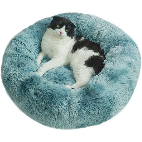 Betterlifegb - Dog cushion for comfortable extra-soft cat and cute, washable chat cup cushion, suitable for cats and small dogs of medium size (60cm