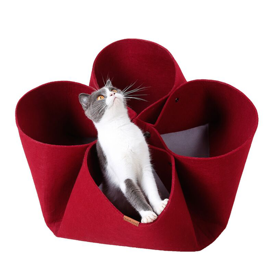 Cat Litter Creative Petal Flower Cat Litter Original Design Four Seasons Cat Bed Pet Cades Changing Function Cat Tunnel (Red) -