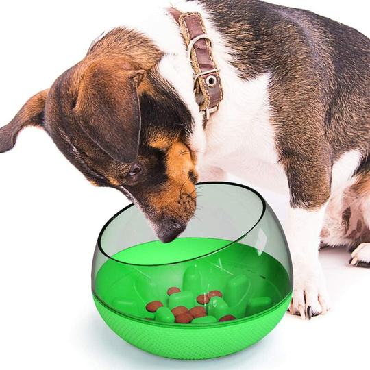 Basic Dog Bowls Slow Feeding Bowl Anti-Slip Design Fun Feeder Green