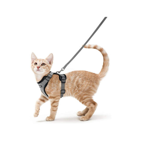 Cat Harness Small Dog Leash Adjustable Kitten Harness Gray xs Reflective Cat Harness Collar Breathable Vest for Rabbit, European Cat, Maine Coon,