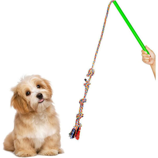 Flirt Pole Indestructible Dog Training Toy, Interactive Dog Game Toy with Adjustable 3-knots 67 Inch Rope for Medium La