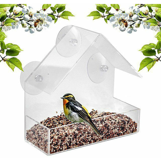Window Bird Feeder Triumph Acrylic Clear Bird Feeder Rainproof Bird Feeder Removable Sliding Feeder Tray with 3 Suction Cups Bird Feeder