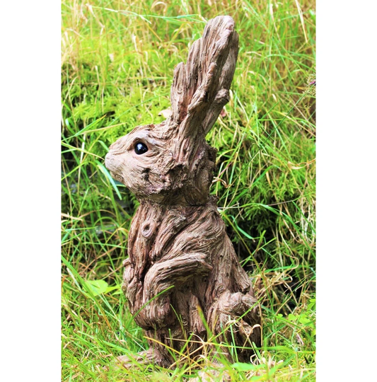 Rosas Wild Hare Rabbit