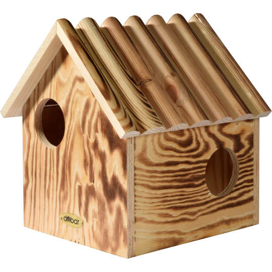 Mounted Squirrel House