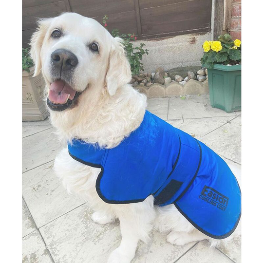 Easidri - Cooling Coat - Medium - ?????????