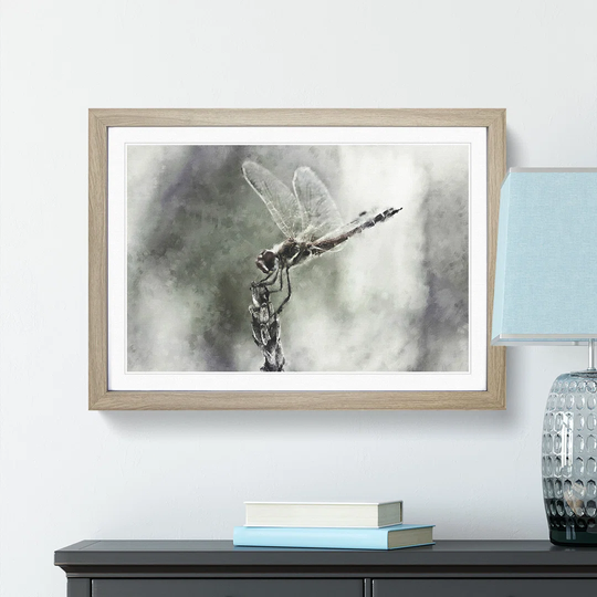 Perched Dragonfly - Picture Frame Graphic Art Print