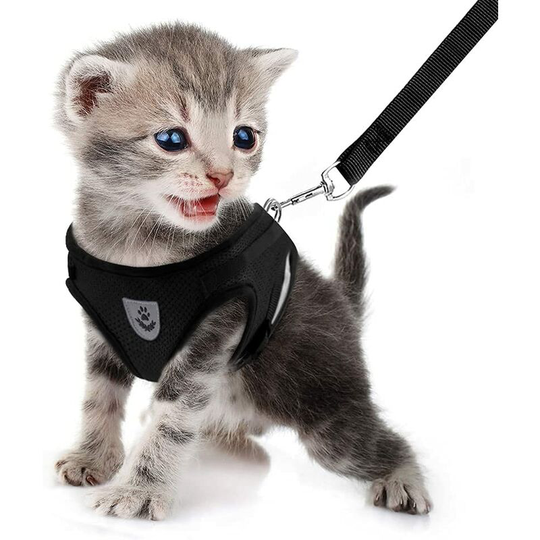 Dog Harness, Soft Mesh Padded Dog Harness and Leash for Puppy Cats, Breathable Jacket, Adjustable