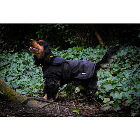 Whitaker - Dog Coat Sydney Black Camo - Medium Black Camo