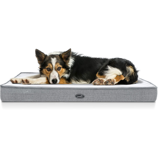 Pecute - Dog Bed - Extra Large 101x69cm, 7cm Thick Memory Foam for Good Support - Waterproof Orthopedic Dog Bed with Soft Washable Cover Easy to