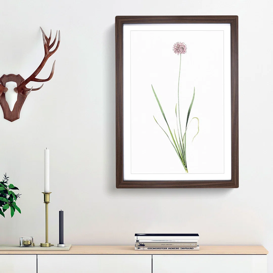 Mouse Garlic Flower by Pierre-Joseph Redoute - Picture Frame Painting Print