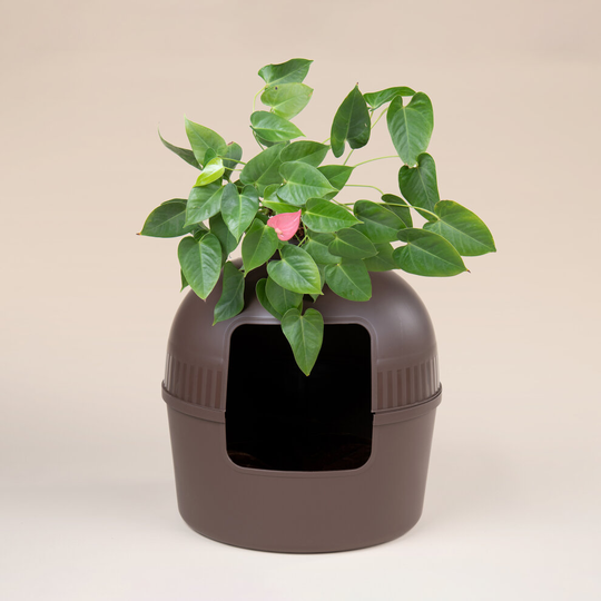 RHRQuality Litter Box Flower XXL Brown