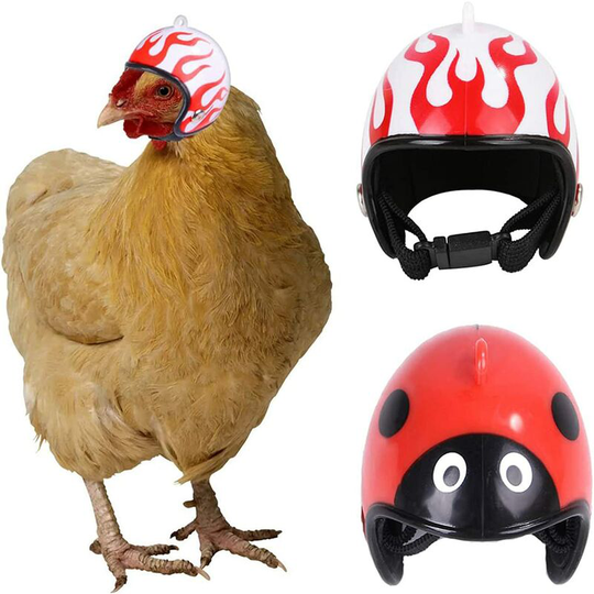 2 pcs Chicken Helmet, Chicken Bird Toy Head Protection Helmet Bird Hat Headwear, Pet Safety Helmet Funny Parrot Helmet, Adjustable Small Pet Hard Hat