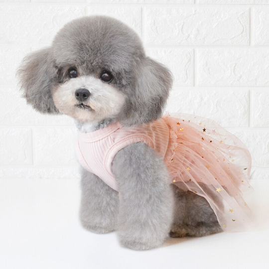 Spring and summer new pet skirt puppy skirt dog clothes pet clothes cat clothes kitten clothes m (chest 35', neck 28', back 25' for weight 5 pounds