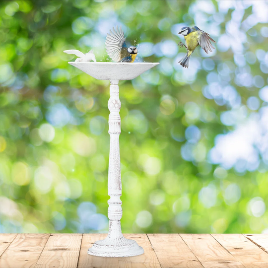 Kantor Bowl & Stand