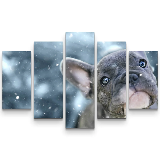 French Bulldog Puppy Photographic Print Multi-Piece Image on Canvas