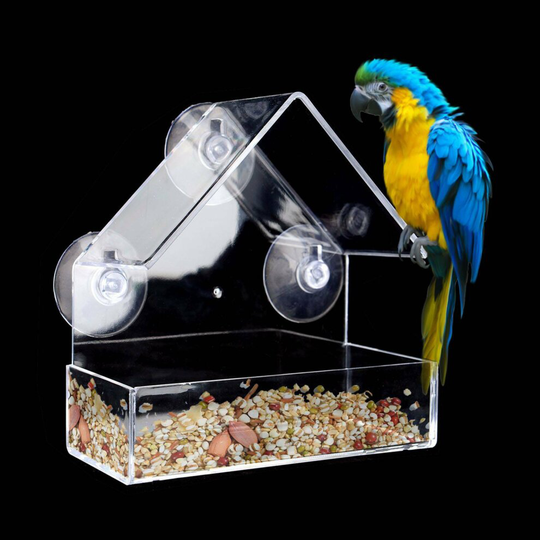 Clear Glass Window Viewing Bird Feeder Table Seed , Best