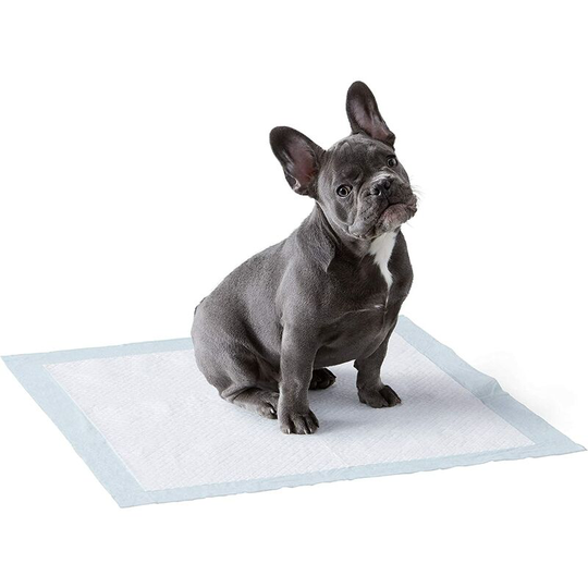 50 Pack Dog Poop Protectors, Leak Proof, 5 Layers, Quick Dry Surface, Regular Size, for Dogs and Puppies